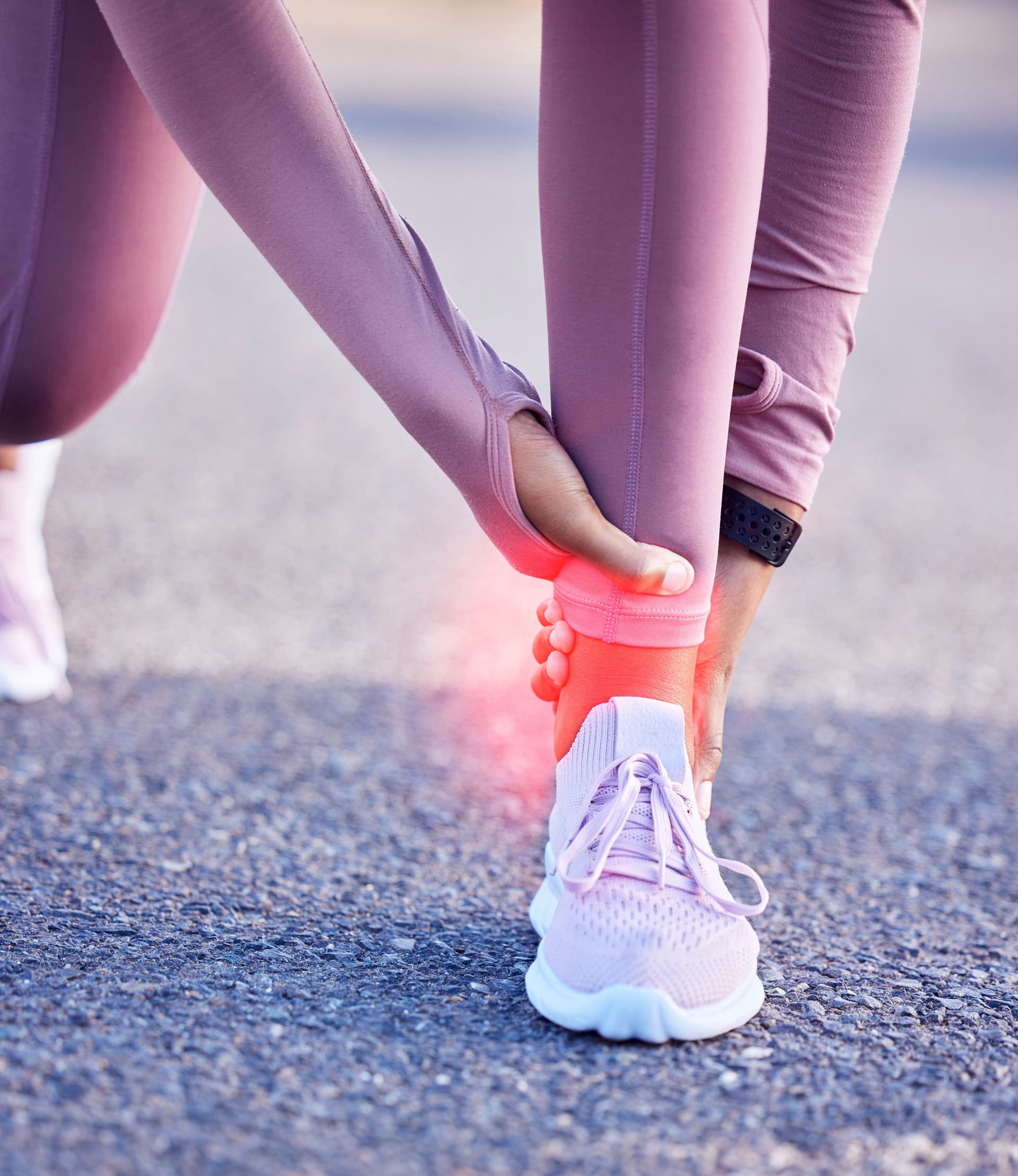Anatomical view of the Achilles tendon